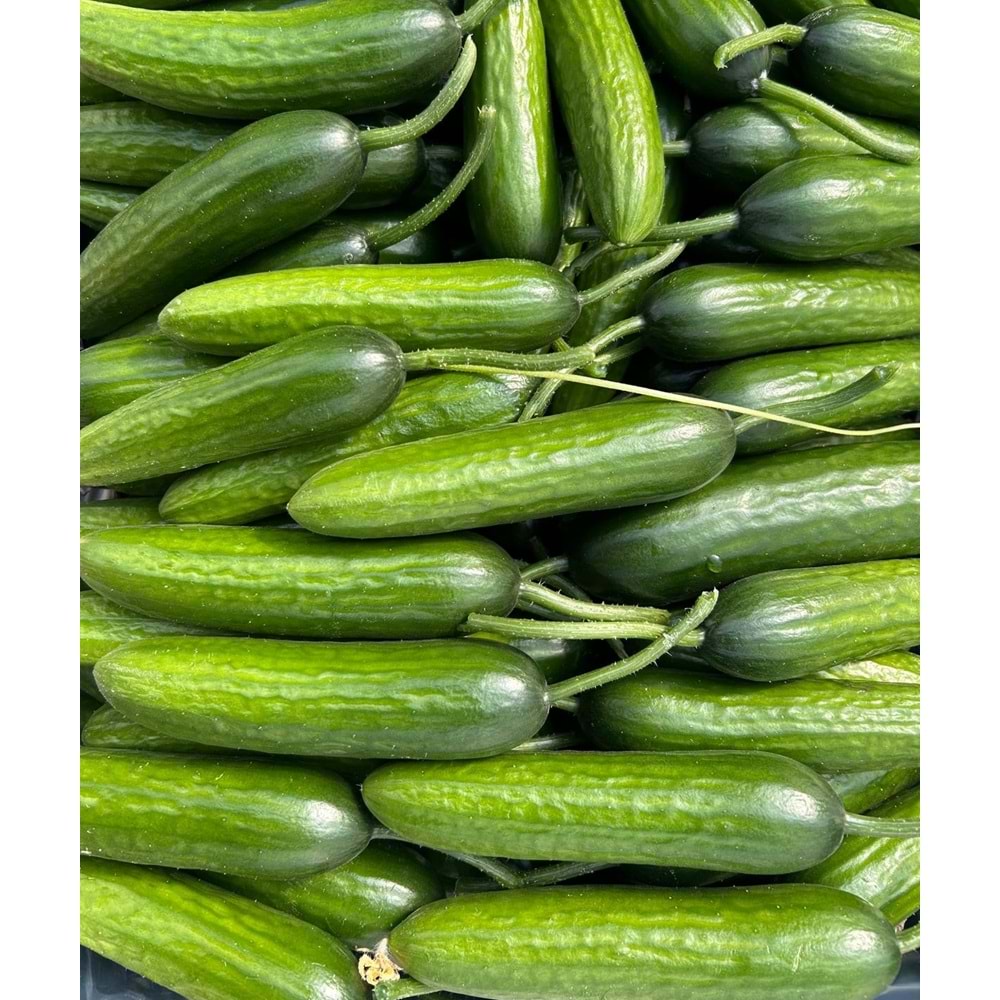 3 Kg Salatalık 2 Kg Salkım Domates Özel Üretim