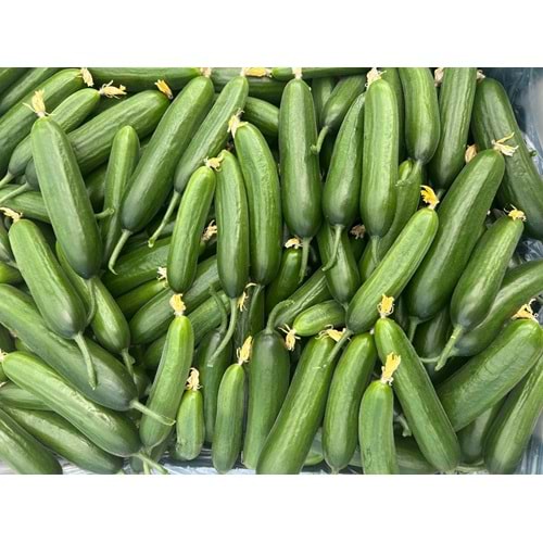 3 Kg Salkım Domates 2 Kg Badem Salatalık